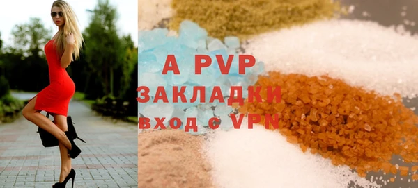 ПСИЛОЦИБИНОВЫЕ ГРИБЫ Валдай