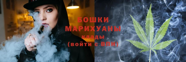 ECSTASY Пересвет