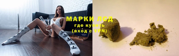 ПСИЛОЦИБИНОВЫЕ ГРИБЫ Валдай