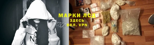 ПСИЛОЦИБИНОВЫЕ ГРИБЫ Валдай