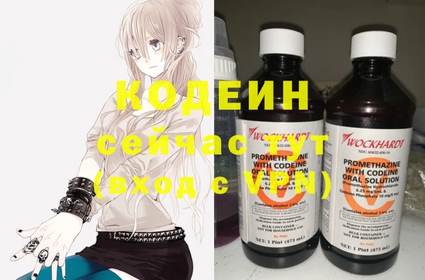 дживик Осташков