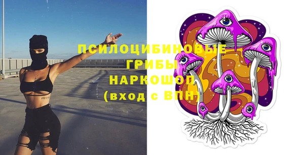 ПСИЛОЦИБИНОВЫЕ ГРИБЫ Валдай