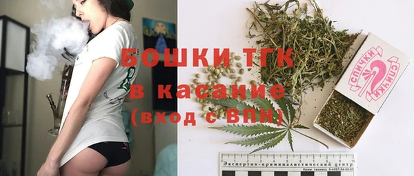 spice Осинники