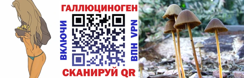 Псилоцибиновые грибы Psilocybine cubensis  закладки  Кораблино 
