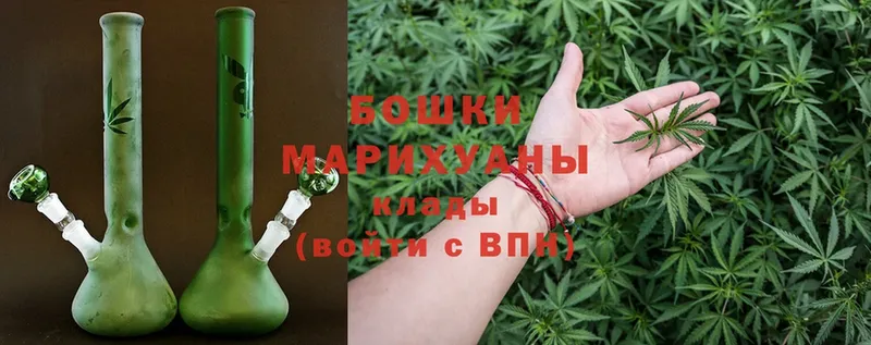 Канабис OG Kush  Кораблино 